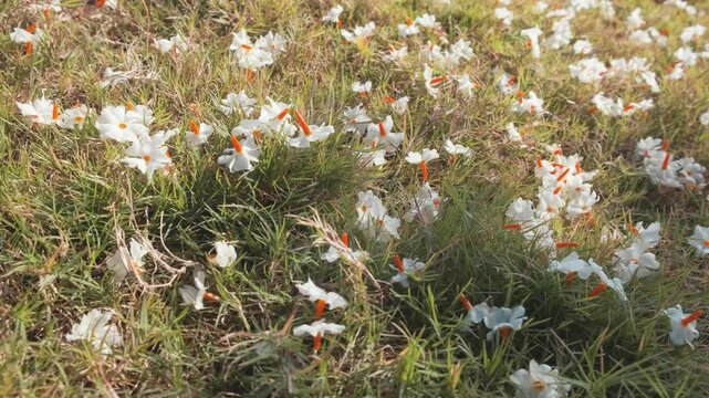 Juda shafqatsiz jinsiy aloqa sikildi