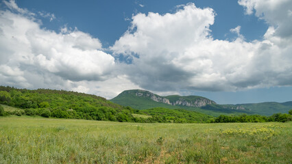 Fototapeta premium View from a summer meadow to a mountain range.