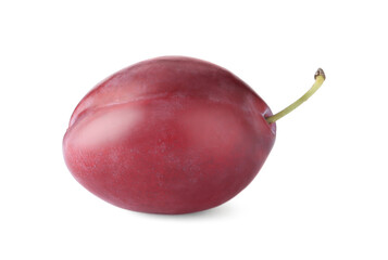 One fresh ripe plum isolated on white