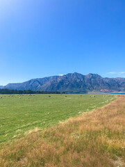 Serene Lake Hawea & Wanaka, Scenic Camping Spots, and Rolling Hills with Sheep – Ultimate Winter Adventure in New Zealand’s South Island Queenstown Lake Wakatipu Explore The Remarkables, Coronet Peak