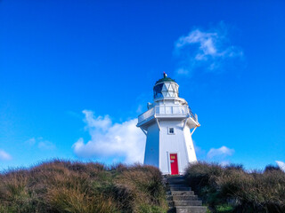 Stirling point Bluff New Zealand lighthouse, south island, invercargill, Queenstown