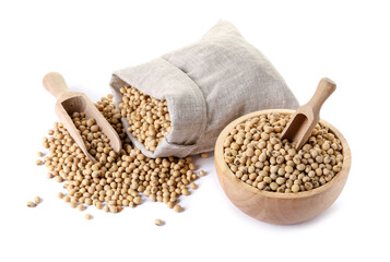 Soy beans in burlap sack, bowl and scoops isolated on white