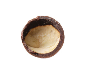 Part of macadamia nut shell isolated on white