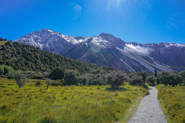 Lake Pukaki Lake Tekapo Vibrant Lupin Fields, Hooker Valley Track, Southern Alps, Mt Cook Mountains – Glacial Rivers, Snow-Capped Peaks, Scenic Trails, Landscape New Zealand Canterbury Queenstown