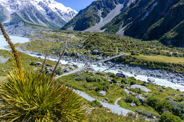 Lake Pukaki & Lake Tekapo Views with Lupin Fields, Hooker Valley Track, Southern Alps, Mt Cook Mountains Glacial Rivers, Snow-Capped Peaks, Scenic Trails, Landscape New Zealand’s Canterbury Queenstown