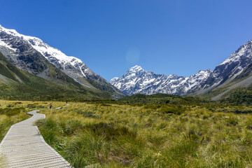 Lake Pukaki & Lake Tekapo Views with Lupin Fields, Hooker Valley Track, Southern Alps, Mt Cook Mountains Glacial Rivers, Snow-Capped Peaks, Scenic Trails, Landscape New Zealand’s Canterbury Queenstown