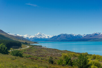 Lake Pukaki & Lake Tekapo Views with Lupin Fields, Hooker Valley Track, Southern Alps, Mt Cook Mountains Glacial Rivers, Snow-Capped Peaks, Scenic Trails, Landscape New Zealand’s Canterbury Queenstown