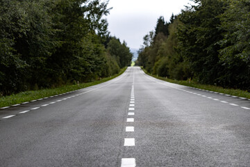 Naklejka premium A long road through the forest leading to the horizon.