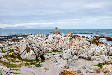 Eine Reise durch S&uuml;dafrika. Pinguine an Betty's Bay
