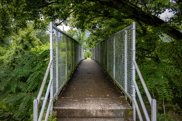 Narrow Pedestrian Bridge Through Forest with Chain-Link Fence.