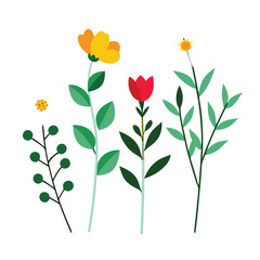 floral illustrations featuring different flowers and foliage on a white background 