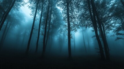 A tranquil forest enveloped in mist features tall dark tree silhouettes rising against a mysterious foggy backdrop that creates an ethereal atmosphere