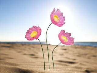 Fototapeta premium In the picture are three pink plastic flowers with long green stems. In one flower, there are a number of yellow stamens in the center. They are used for decorating and decorating various festivals. T