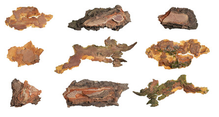  isolated pieces of pine bark