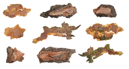  isolated pieces of pine bark