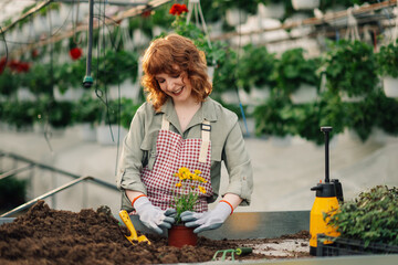 Happy florist putting flowers into a pot at greenhouse and replanting.