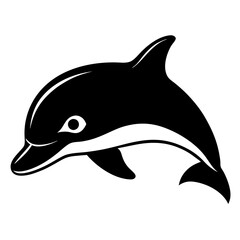 dolphin isolated on white