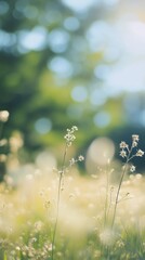 blurred silver background with soft light tones capturing the warmth of summer