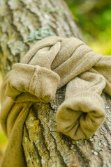  beige knitted sweater draped over a tree trunk, blending textures of nature and fabric. High...