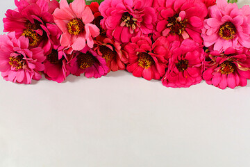 Beautiful autumn banner with gerberas with space for text. Abstract floral composition, holiday card, seasonal still life Hello, autumn , frame of seasonal flowers,