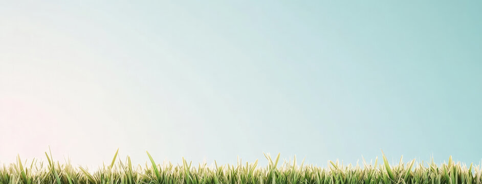 A lush grassy field stretches out under a bright blue sky, bathed in soft sunlight, delivering a fresh and vibrant feel, ideal for nature and outdoor themes.