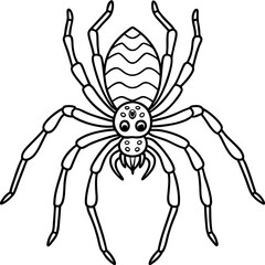 Vector Design Spindly Legged Spider with Simple Body Outline