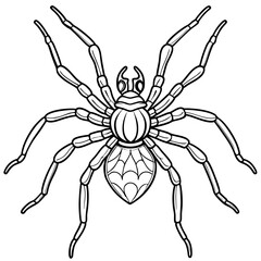 Vector Design Spindly Legged Spider with Simple Body Outline