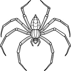 Vector Design Spindly Legged Spider with Simple Body Outline