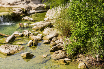 stream in the forest