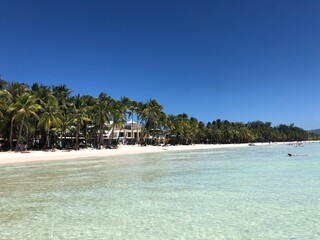 beach with palm trees