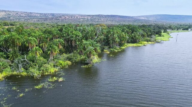 An aerial perspective a African lake, Akagera National Park Rwanda