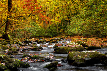 Autumn Mountain Stream
