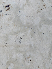 Surface texture of a stone or marble with details