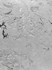Surface texture of a stone or marble with details