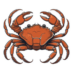 Front View of a Crab with Prominent Claws