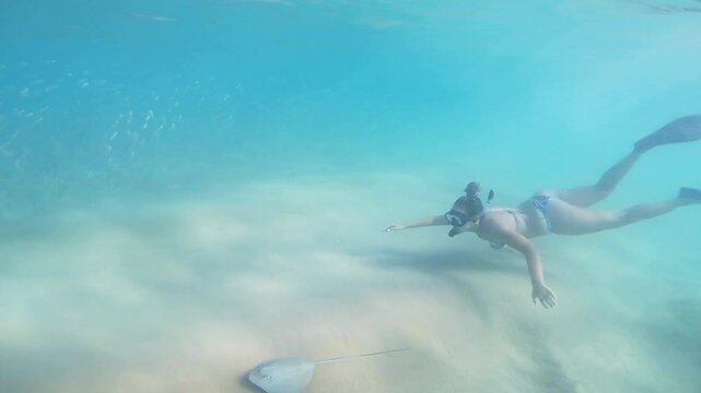 A woman snorkeling with a southern stingray and a shoal of sardines at Sancho Beach in Fernando de Noronha, Brazil
