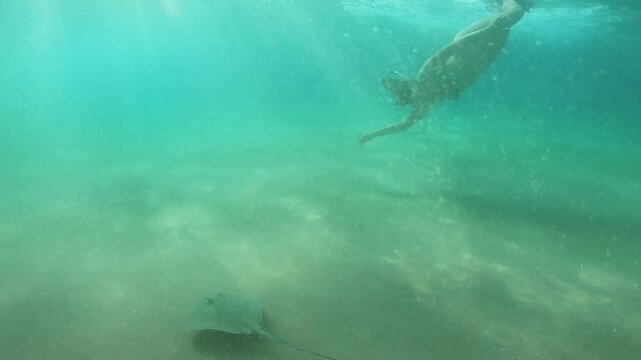 A woman snorkeling with a southern stingray at Sancho Beach in Fernando de Noronha, Brazil