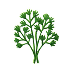 Fresh green herb with vibrant leaves, perfect for garnishing dishes and enhancing flavors in cooking and culinary presentations., isolated on a transparent background.