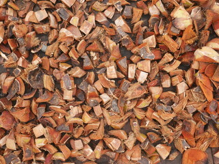 Tropical coconut skin background for digital use.