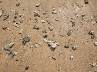 Seashore with a set of pebbles on sandy beach