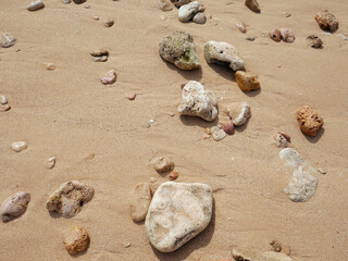 Seashore with a set of pebbles on sandy beach
