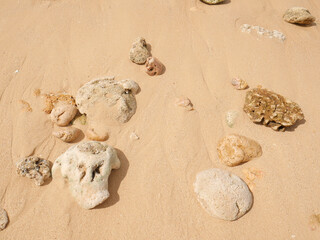 Seashore with a set of pebbles on sandy beach