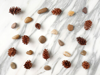 Flat lay, copy space, autumn fall concept isolated on a white marble.