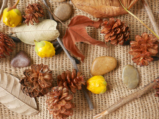 Flat lay, copy space, autumn fall concept isolated on a handmade natural piece of fabric