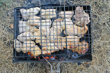 Grilled meat smoke and heat, barbecue.