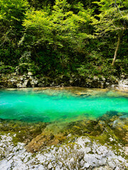 A calm clear turquoise river meandering at the bottom of the canyon among rocks and greenery