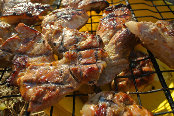 Fried meat, outdoor barbecue, barbecue and grill.