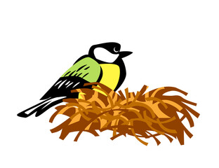 Small bird. A tit is sitting on its nest. Isolated image. Vector image for prints, poster and illustrations.