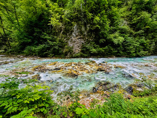 crystal clear mountain river at the bottom of a canyon among a picturesque forest