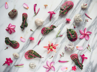 Banner or wallpaper with spa flowers, zen stones, shells isolated on a white marble.
